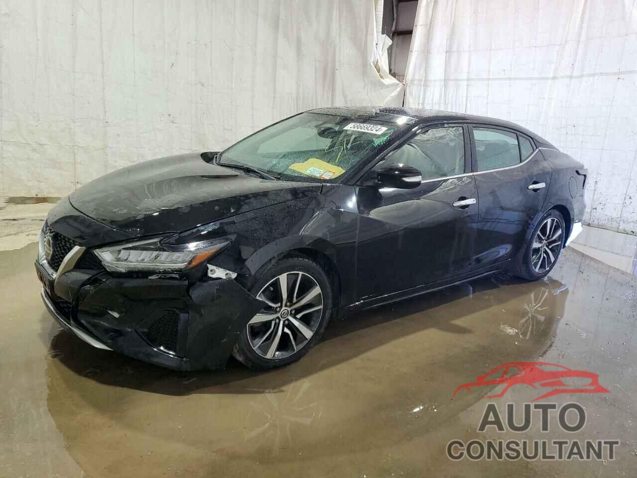 NISSAN MAXIMA 2019 - 1N4AA6AV4KC366260