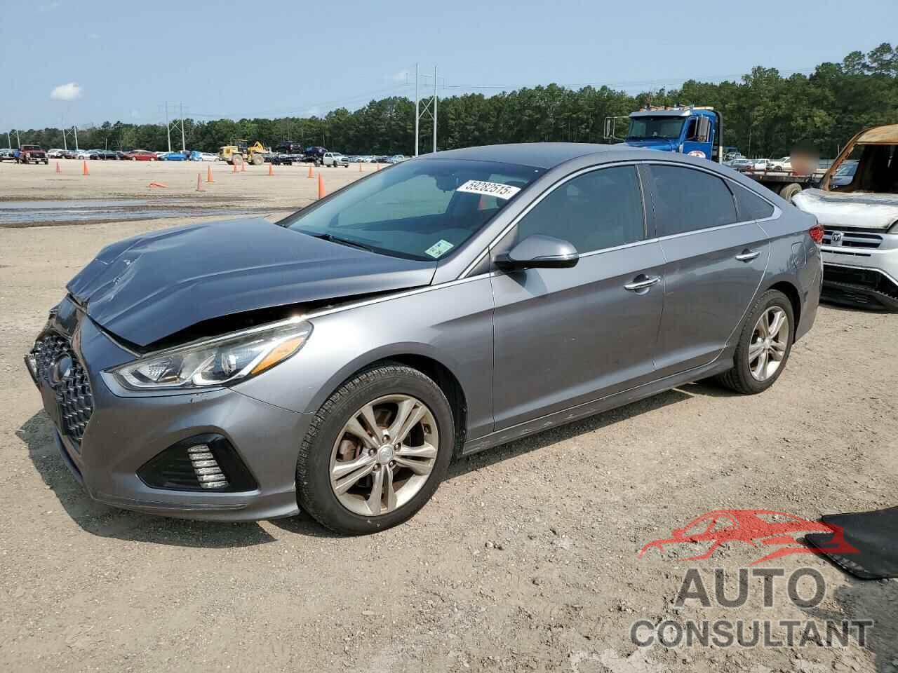 HYUNDAI SONATA 2019 - 5NPE34AF1KH746664