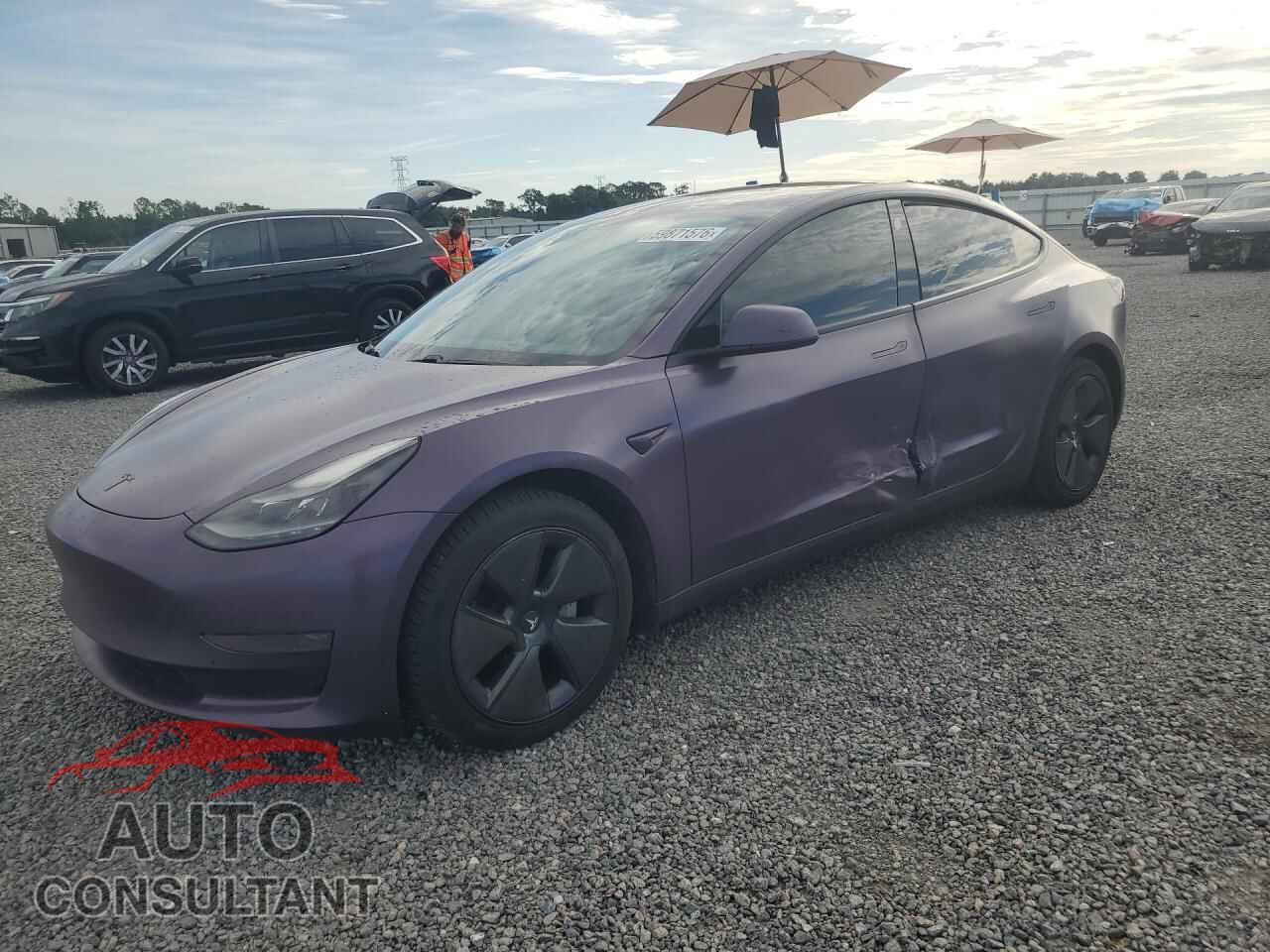 TESLA MODEL 3 2021 - 5YJ3E1EA2MF985320