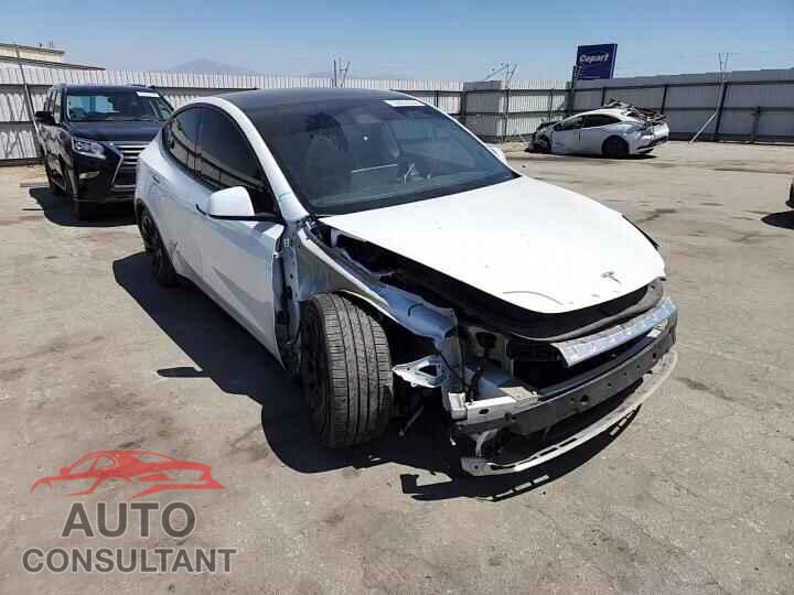 TESLA MODEL Y 2024 - 7SAYGAEE5RF041279
