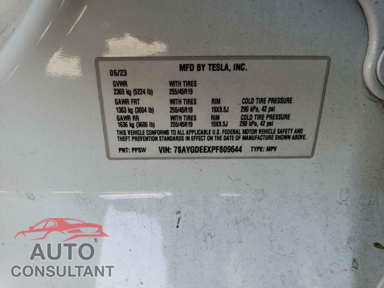 TESLA MODEL Y 2023 - 7SAYGDEEXPF809644