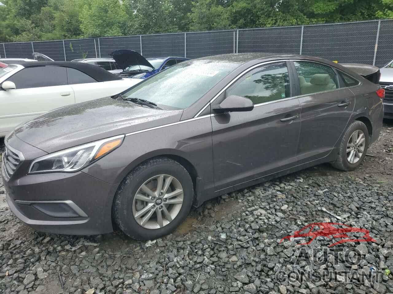 HYUNDAI SONATA 2017 - 5NPE24AF7HH437101