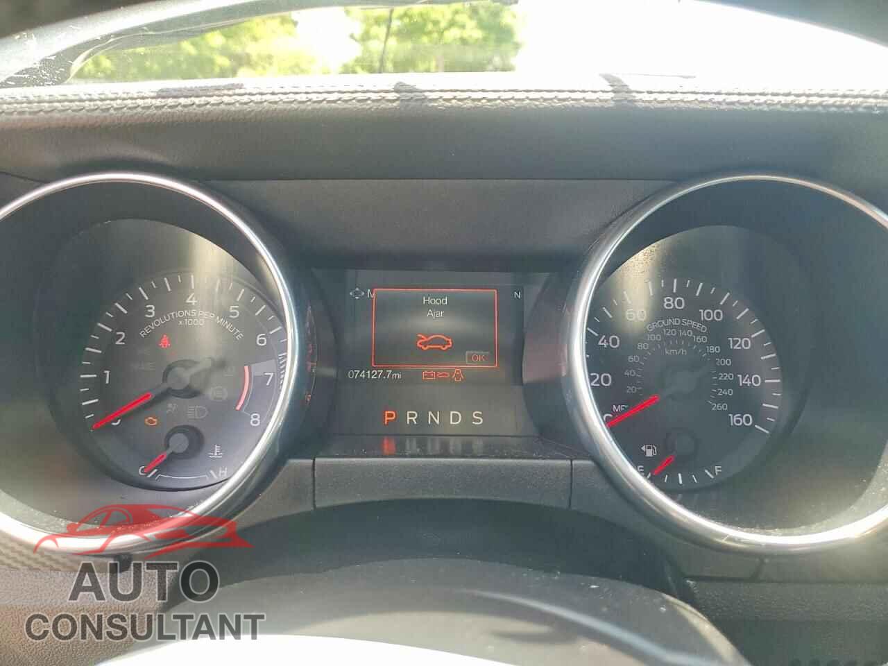 FORD MUSTANG 2019 - 1FA6P8TH5K5166435