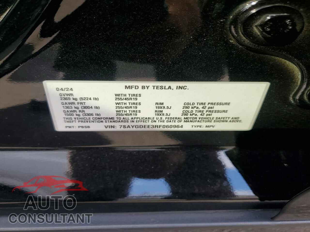 TESLA MODEL Y 2024 - 7SAYGDEE3RF060964