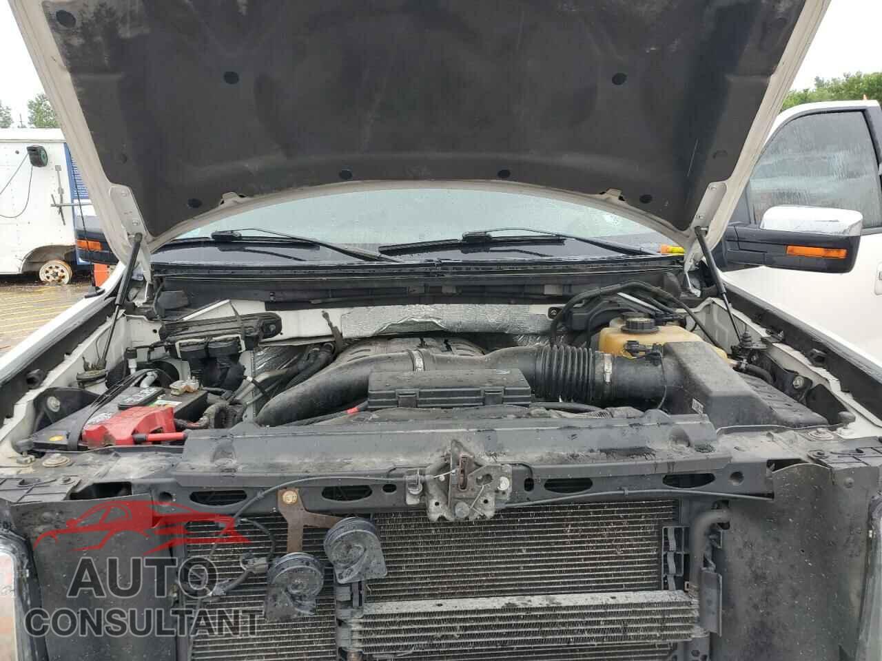 FORD F-150 2012 - 1FTFW1ET1CFA33592