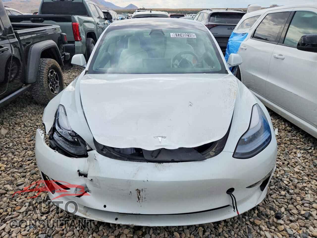 TESLA MODEL 3 2019 - 5YJ3E1EB5KF494911