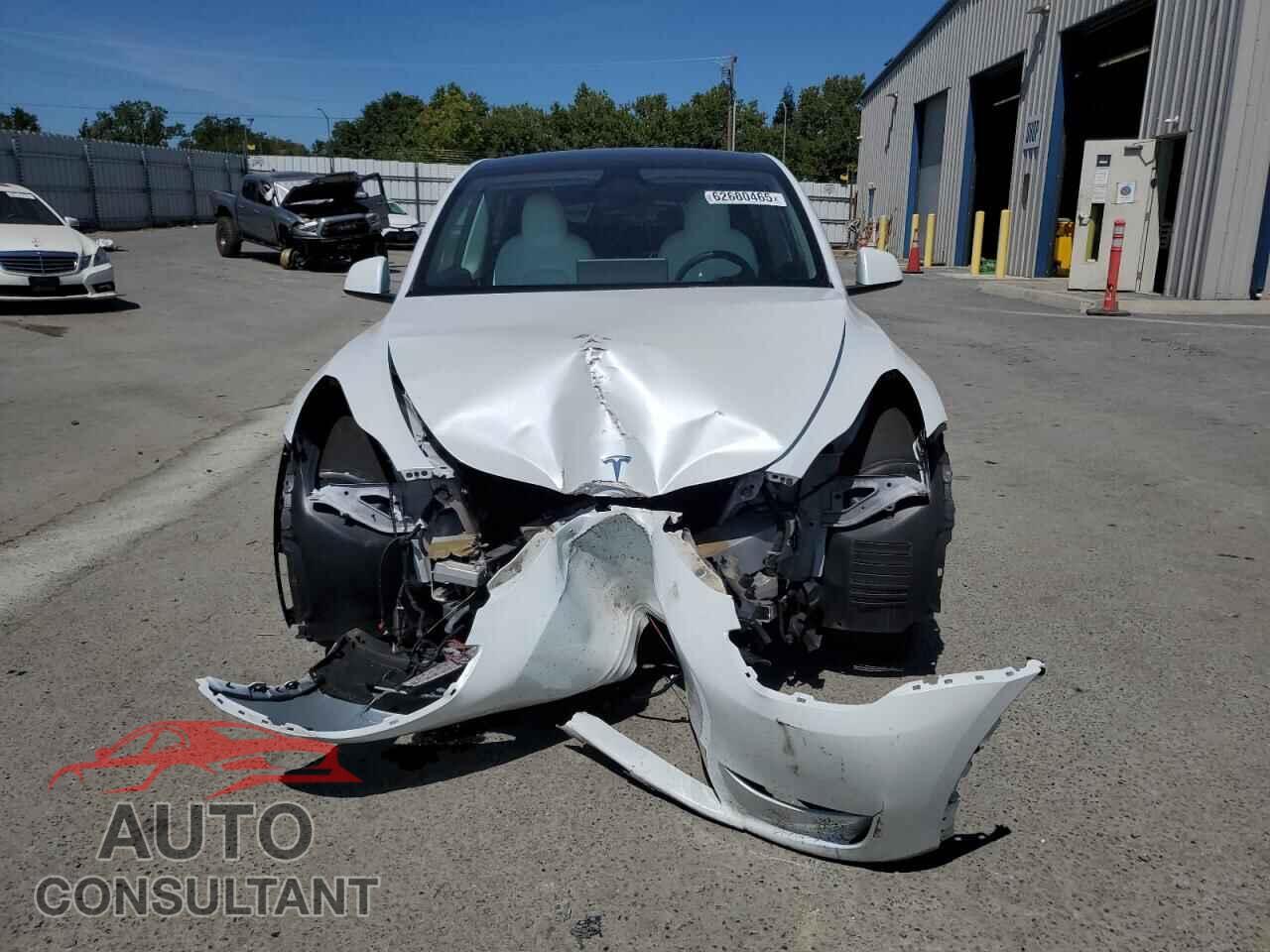 TESLA MODEL Y 2024 - 7SAYGDEEXRF065160