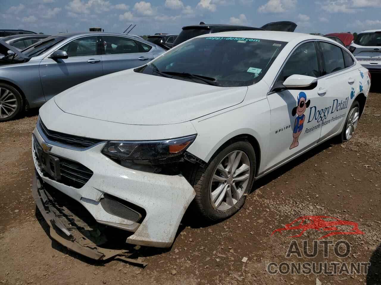 CHEVROLET MALIBU 2017 - 1G1ZE5ST7HF285469