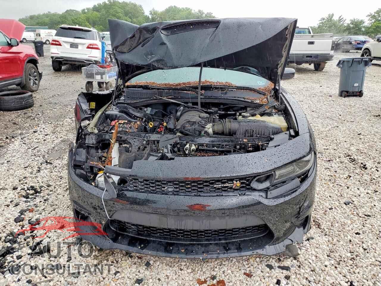 DODGE CHARGER 2019 - 2C3CDXGJ4KH563967