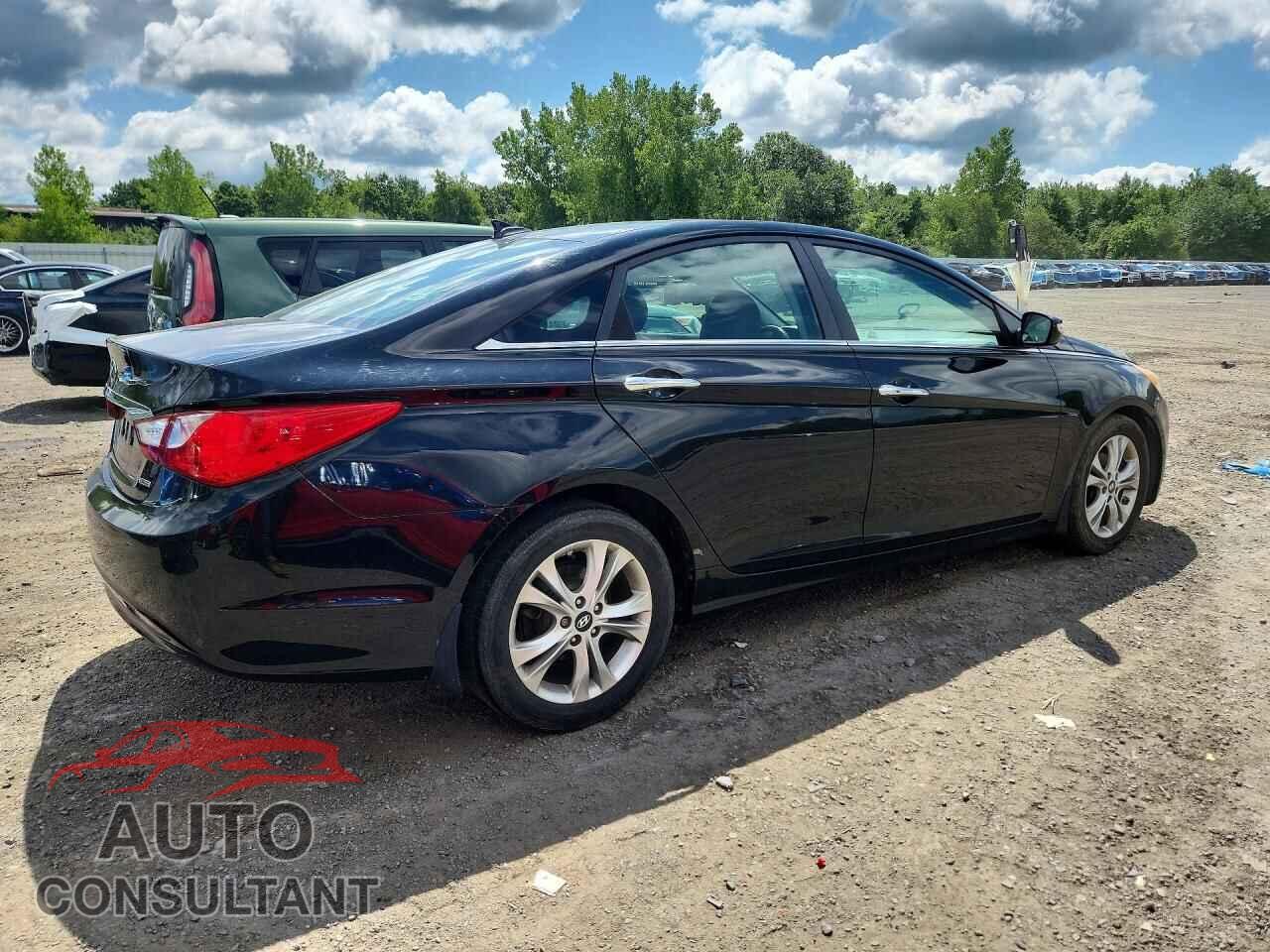 HYUNDAI SONATA 2013 - 5NPEC4AC3DH552159