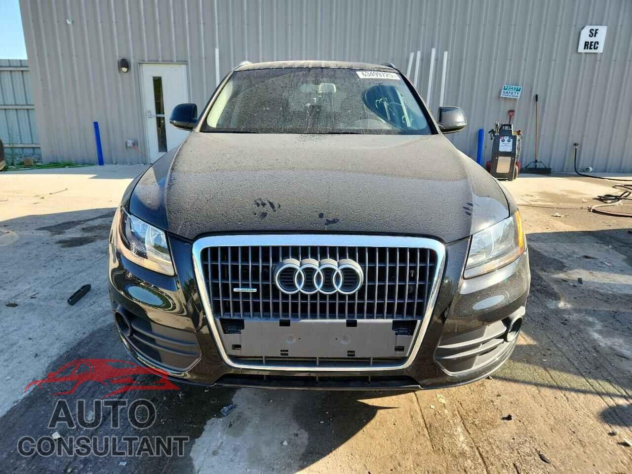 AUDI Q5 2011 - WA1CFAFP1BA084391
