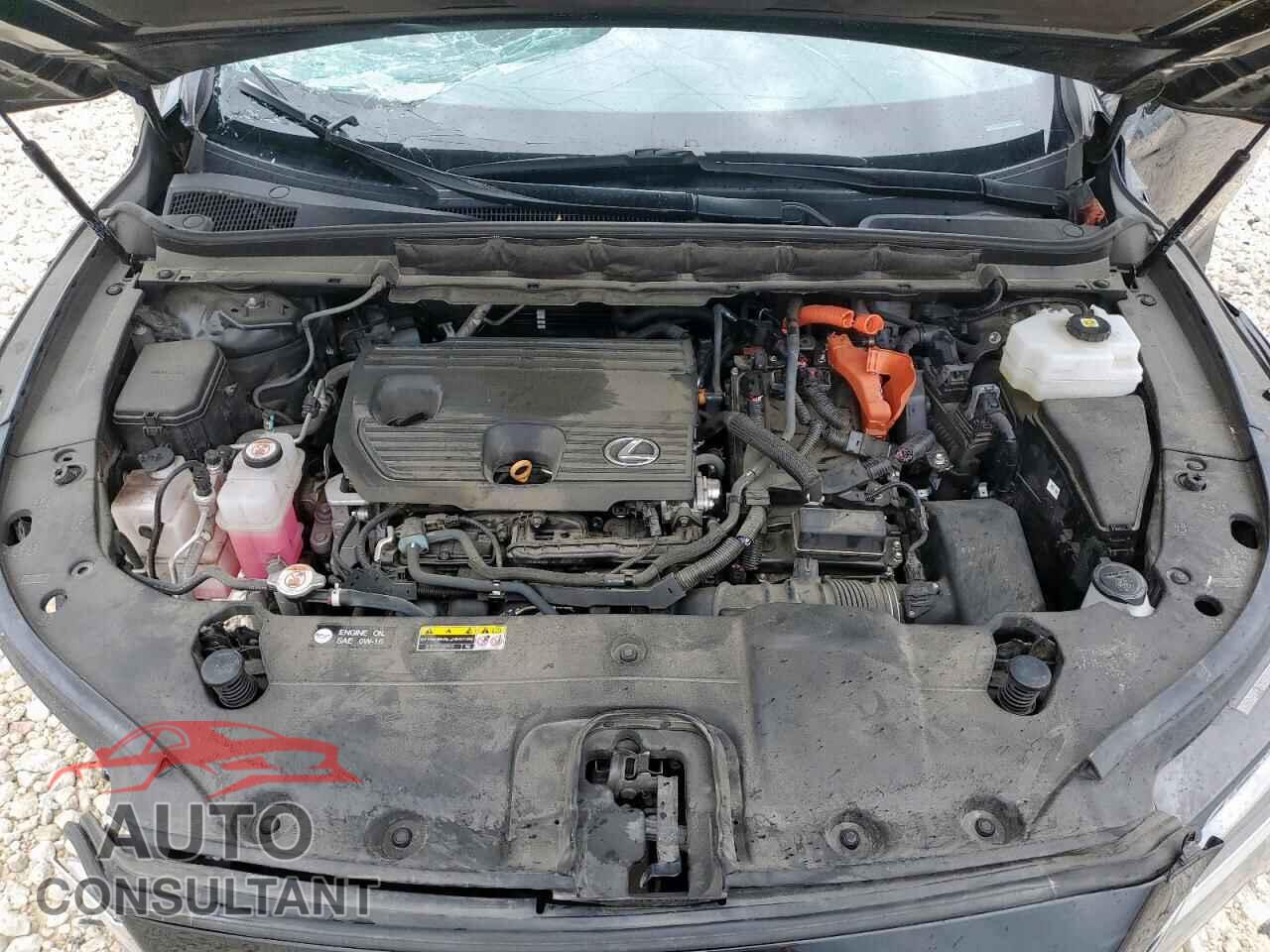 LEXUS RX 350H BA 2023 - 2T2BBMCA4PC011237