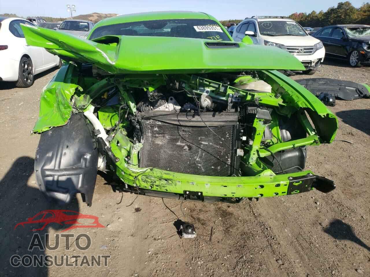 DODGE CHALLENGER 2017 - 2C3CDZGG9HH595029