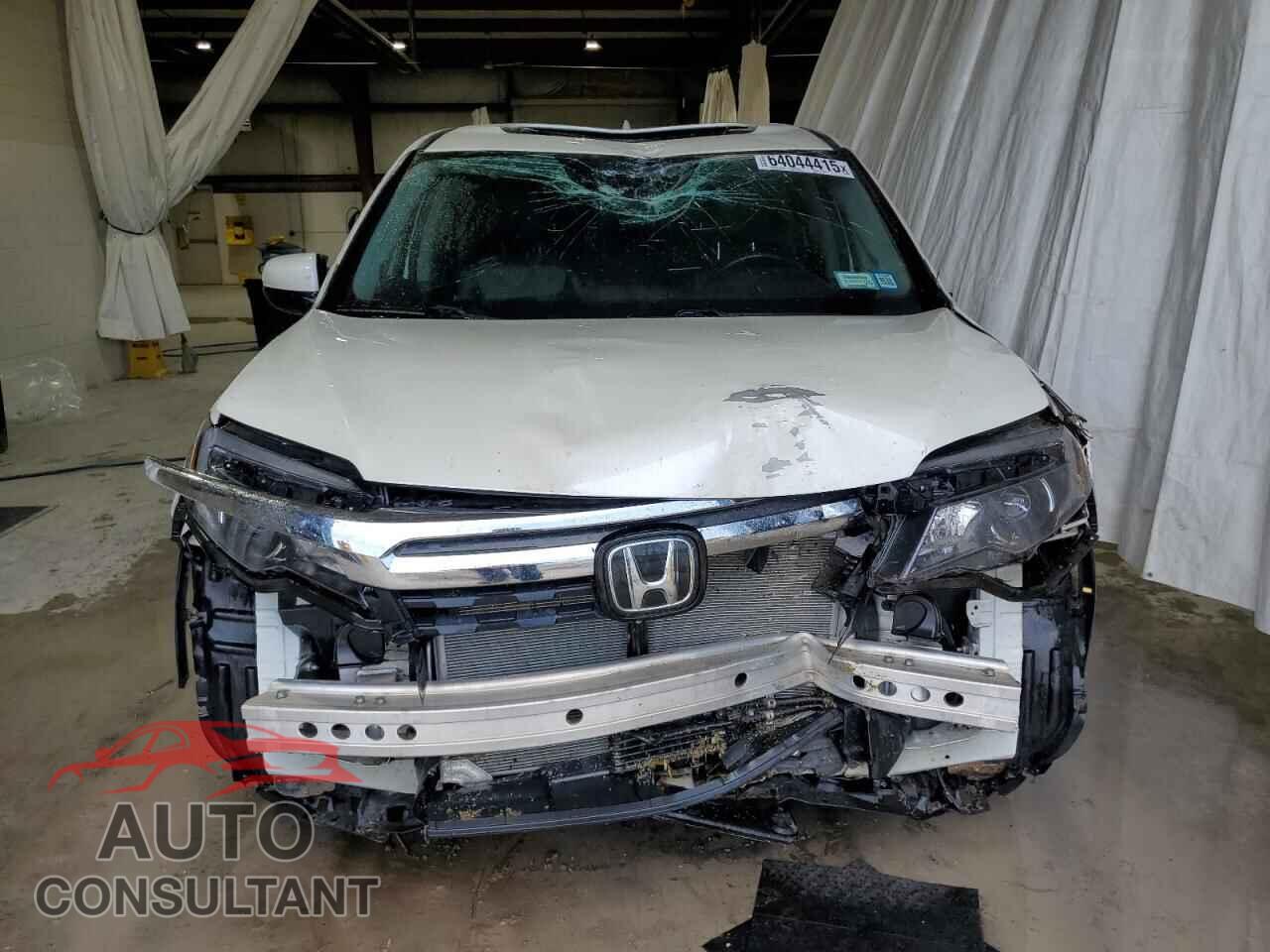 HONDA RIDGELINE 2019 - 5FPYK3F70KB002765