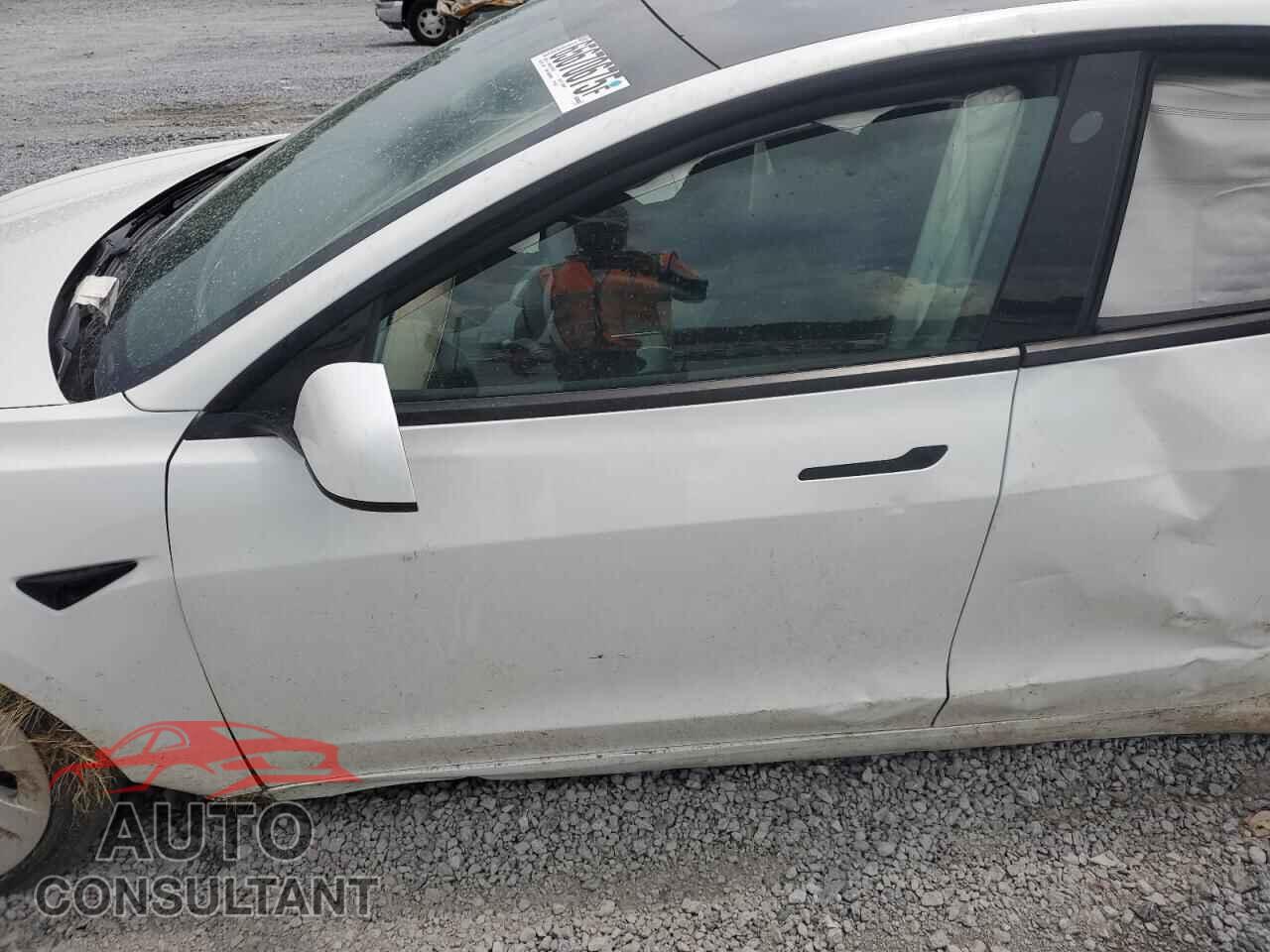 TESLA MODEL 3 2021 - 5YJ3E1EA7MF058135