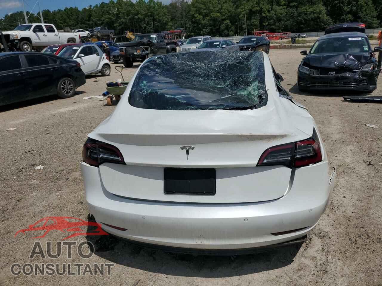TESLA MODEL 3 2019 - 5YJ3E1EA3KF485535