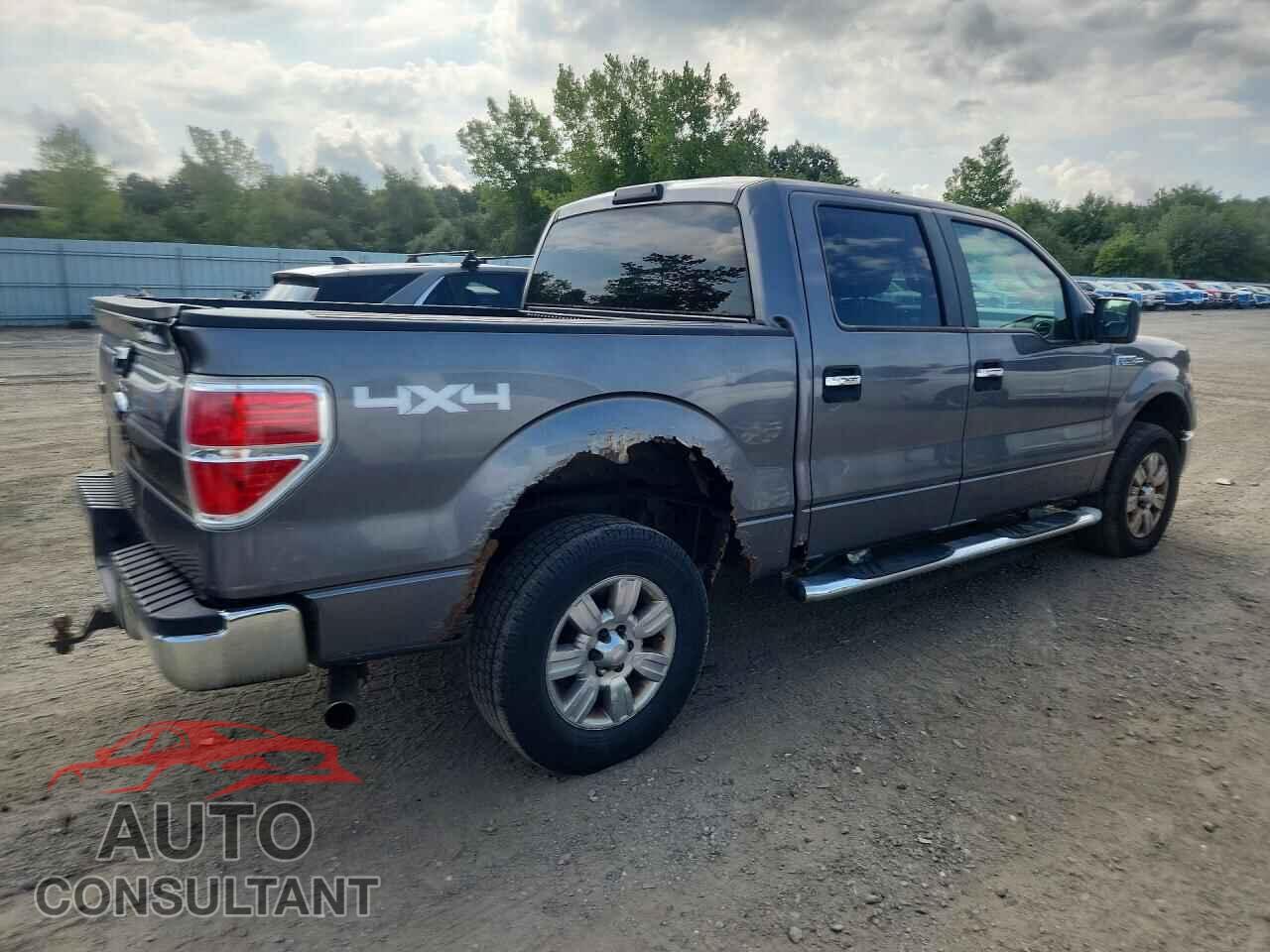 FORD F150 2009 - 1FTRW14849FA06227