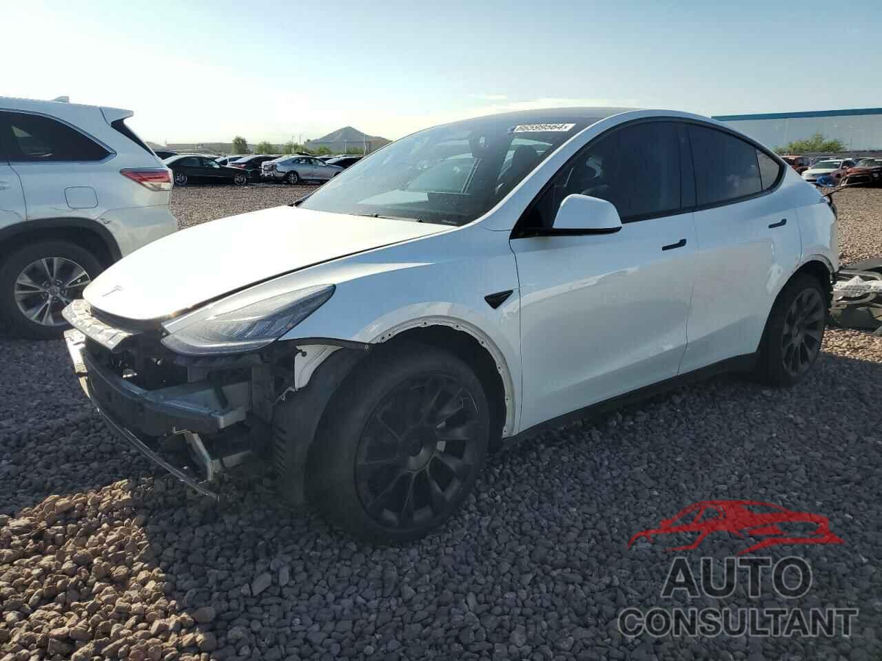 TESLA MODEL Y 2021 - 5YJYGDEE8MF095487