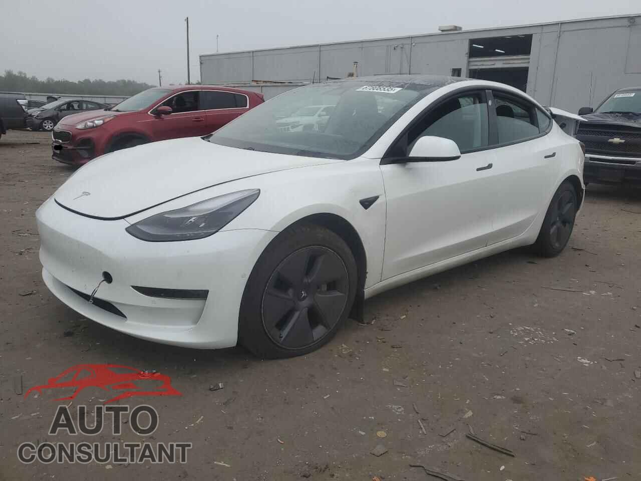 TESLA MODEL 3 2021 - 5YJ3E1EB3MF049831