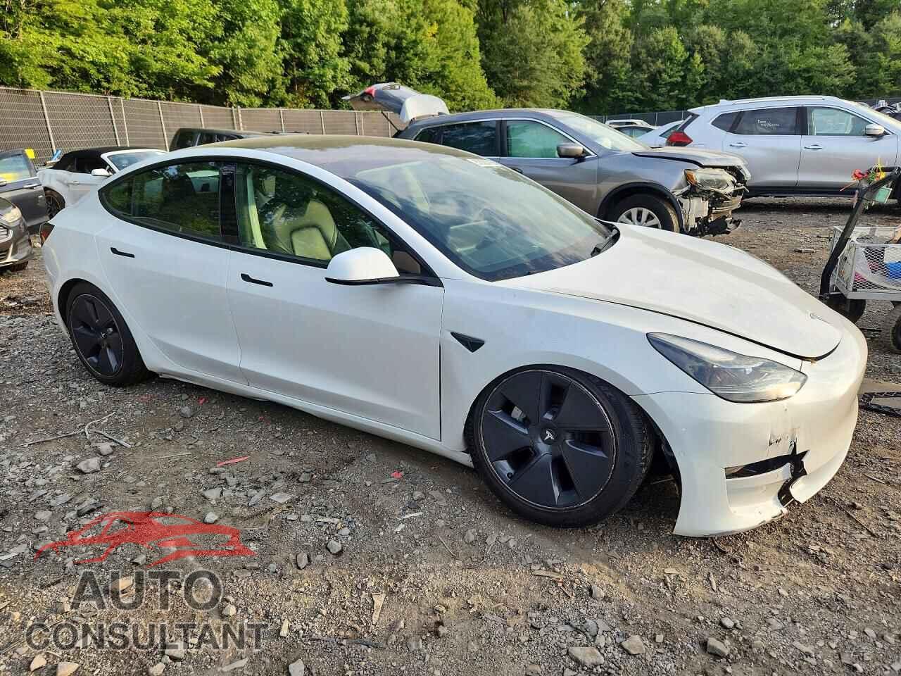 TESLA MODEL 3 2021 - 5YJ3E1EA1MF087940