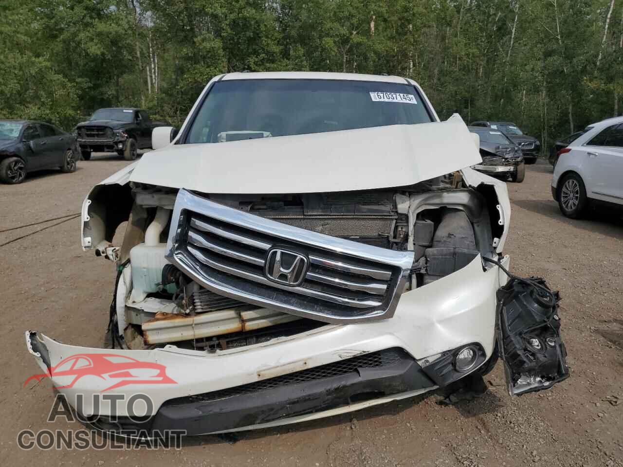 HONDA PILOT 2013 - 5FNYF4H43DB504484