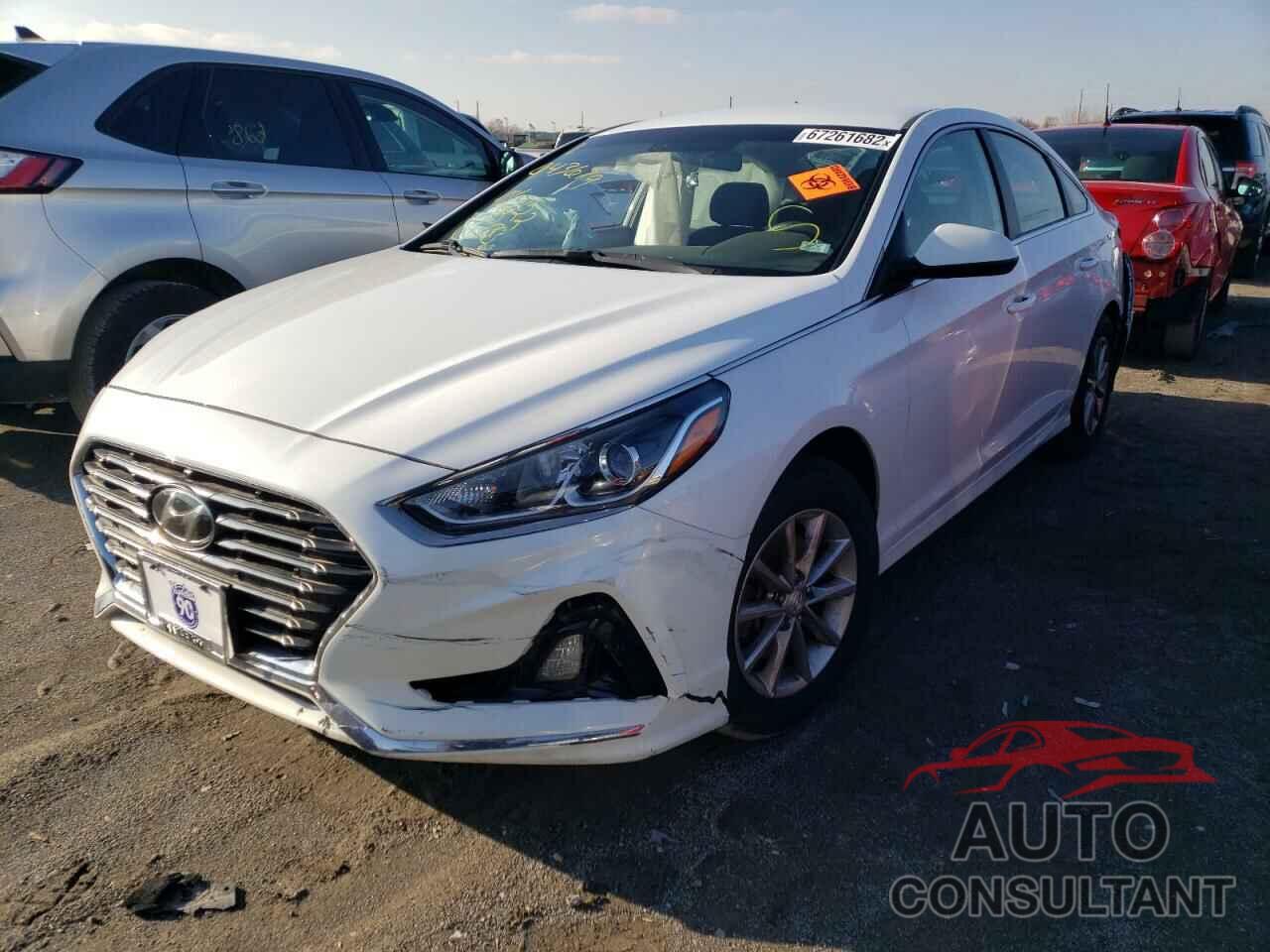 HYUNDAI SONATA 2019 - 5NPE24AF5KH802513