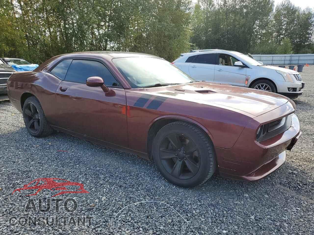 DODGE CHALLENGER 2014 - 2C3CDYBT2EH204510