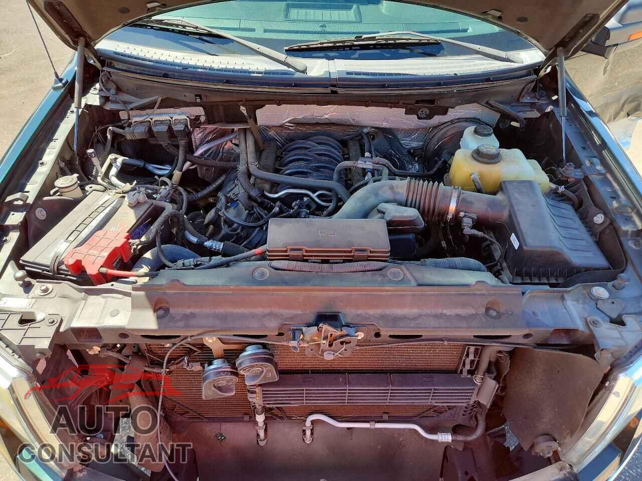 FORD F150 2013 - 1FTFW1CF1DFD92150