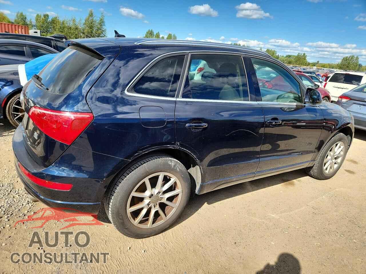 AUDI Q5 2010 - WA1CKAFP2AA010682