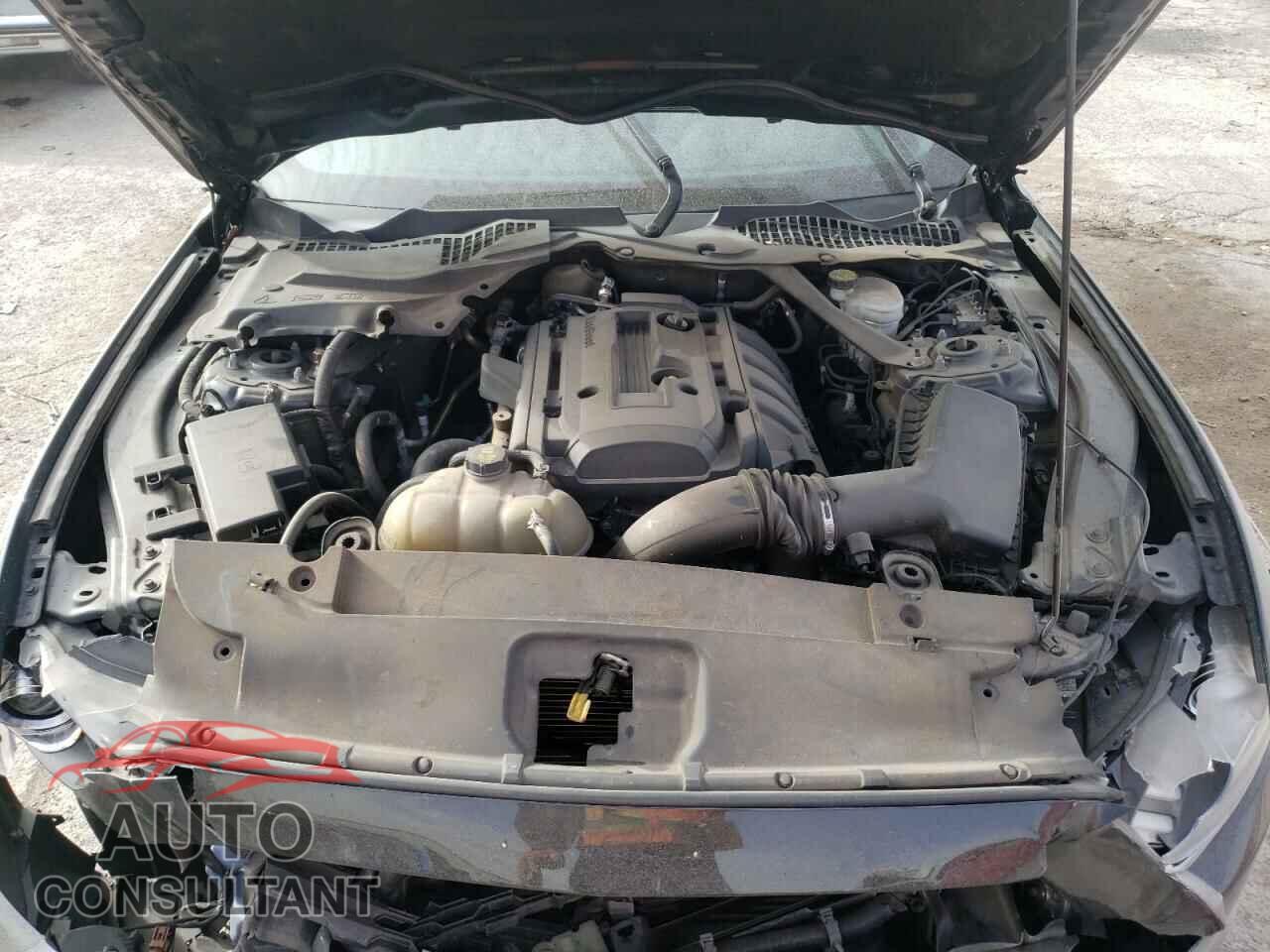 FORD MUSTANG 2017 - 1FA6P8TH8H5262777