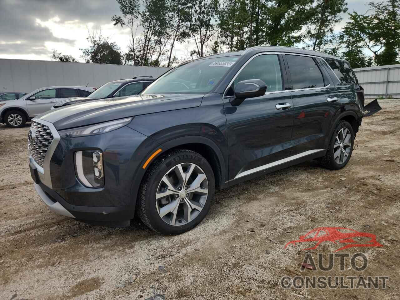 HYUNDAI PALISADE 2020 - KM8R4DHE6LU092551