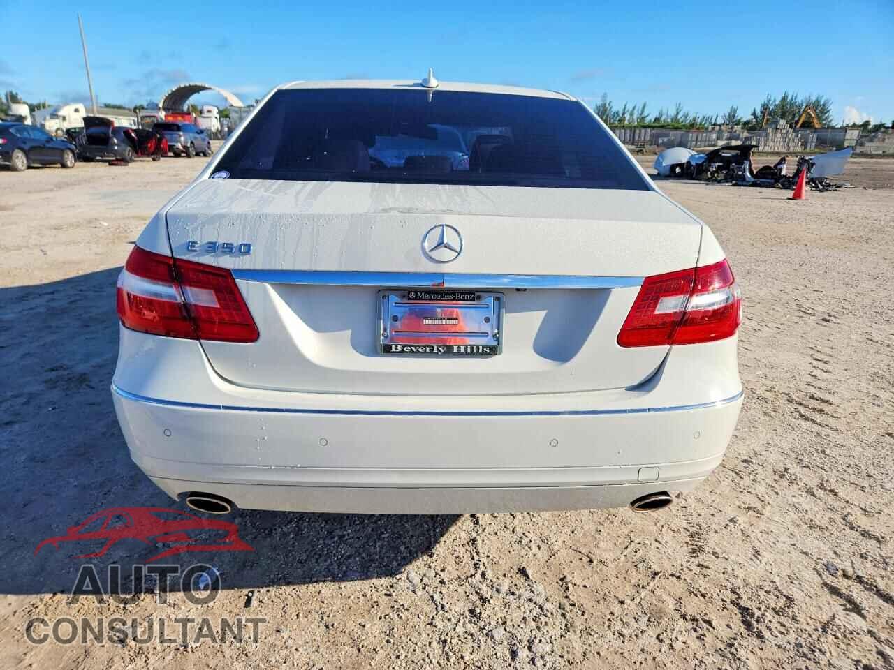 MERCEDES-BENZ E-CLASS 2010 - WDDHF5GB7AA076158