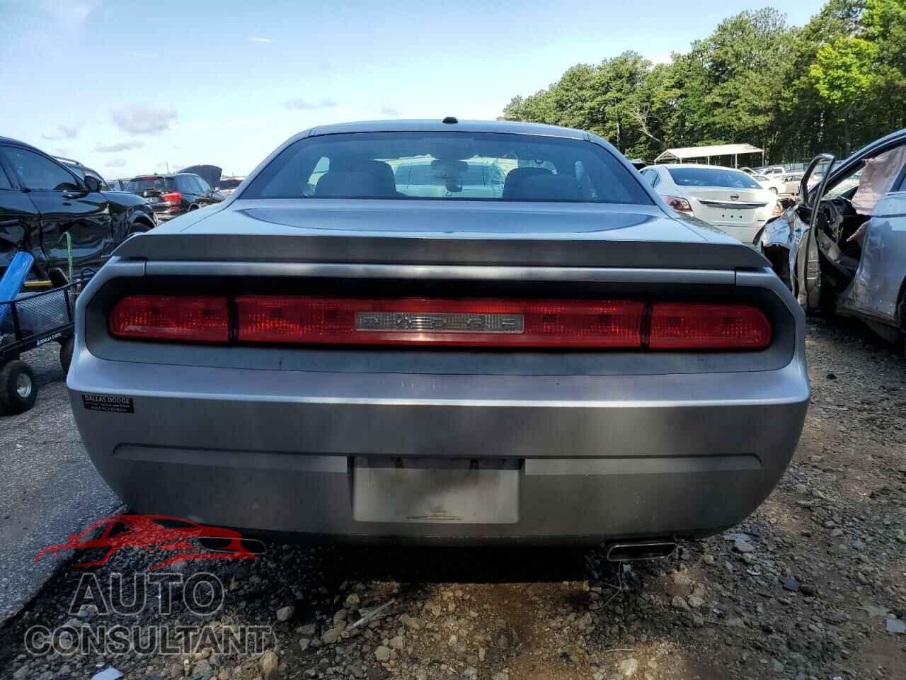 DODGE CHALLENGER 2014 - 2C3CDYAG8EH306317