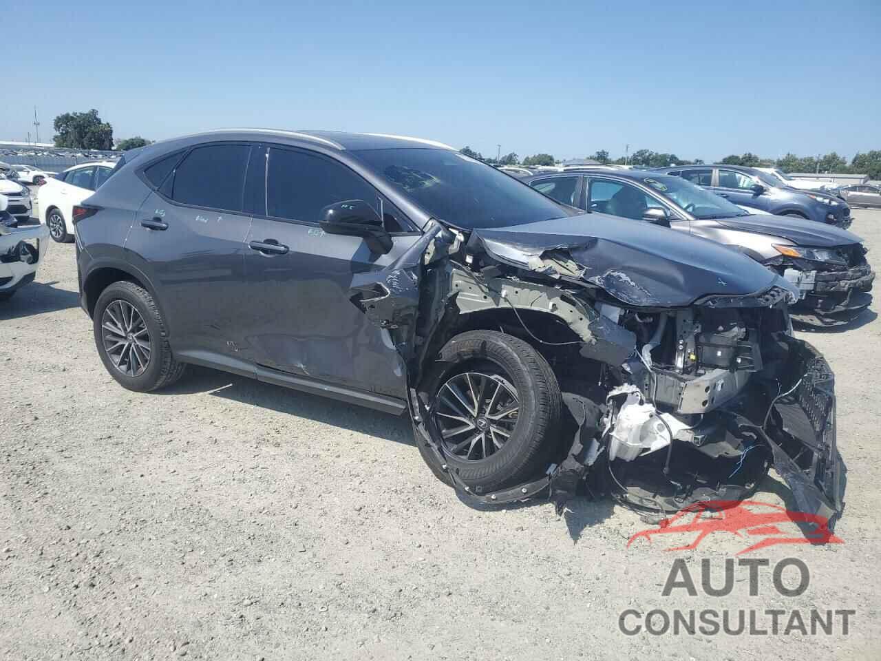 LEXUS NX 250 BAS 2024 - 2T2ADCAZ7RC010031