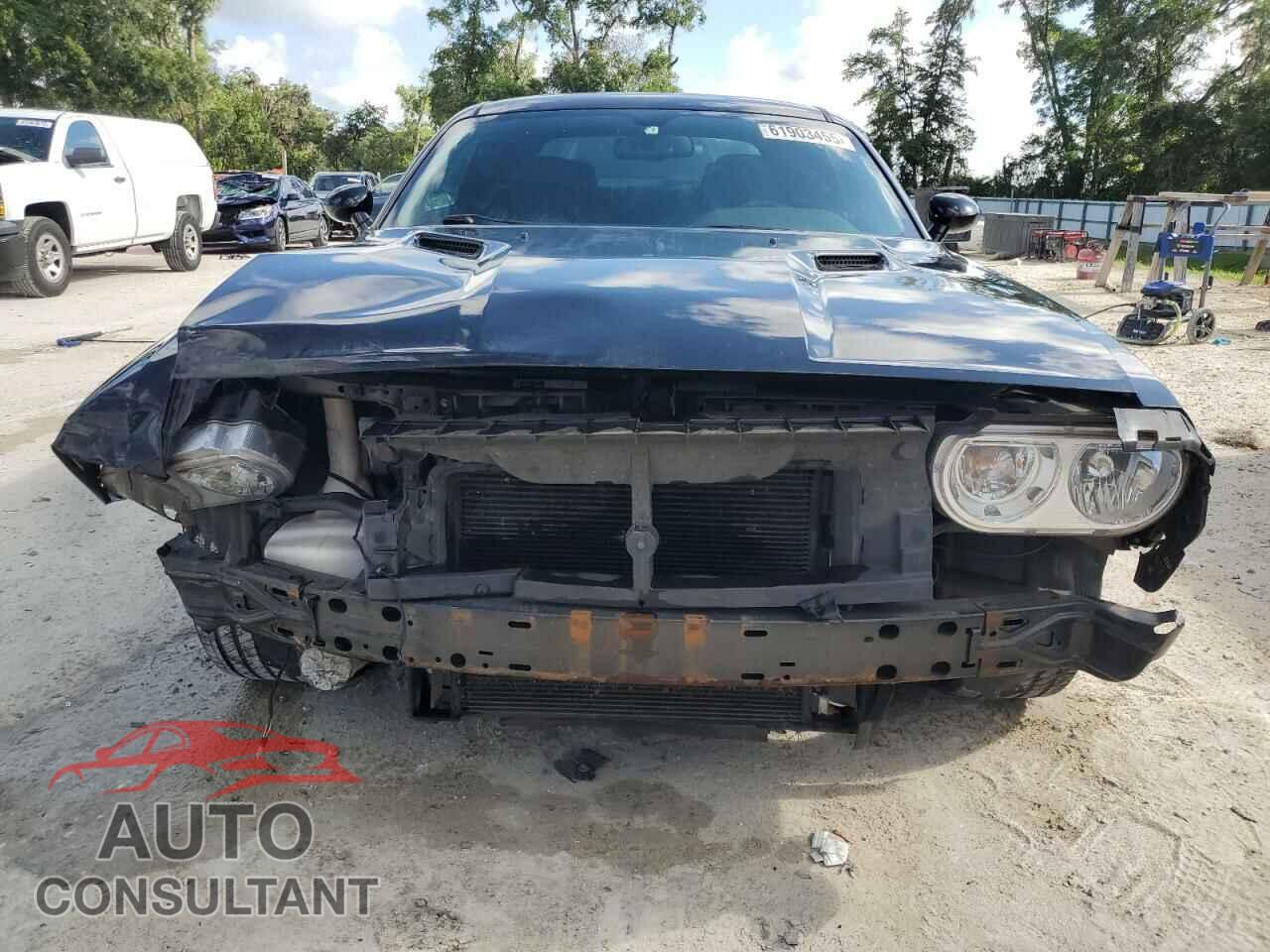 DODGE CHALLENGER 2013 - 2C3CDYBTXDH530957
