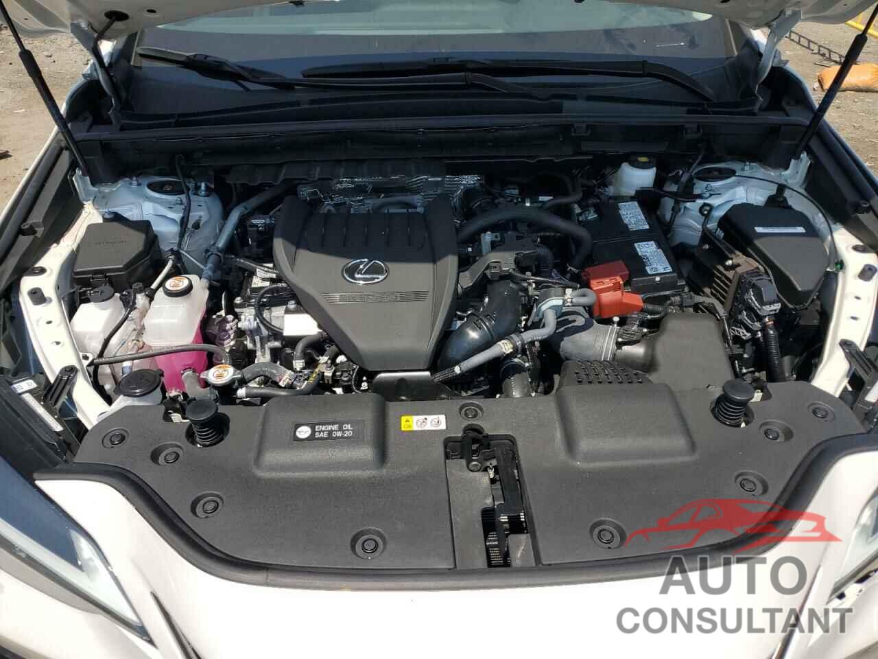 LEXUS NX 350 PRE 2024 - 2T2GGCEZ0RC056702