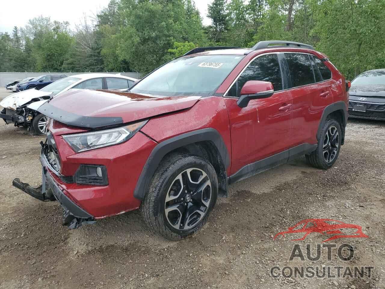 TOYOTA RAV4 2019 - 2T3J1RFV7KW034749