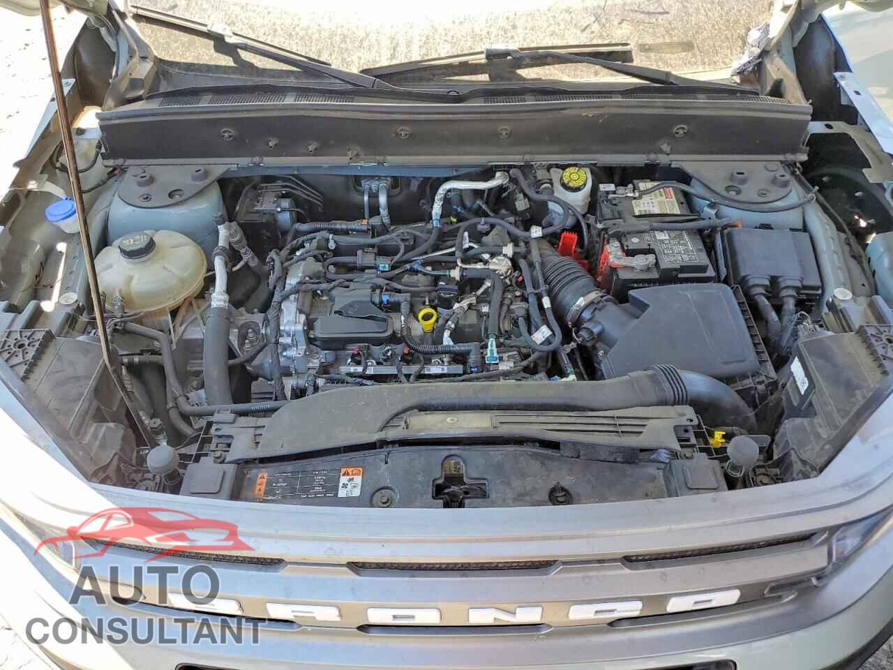 FORD BRONCO 2023 - 3FMCR9B64PRD68289