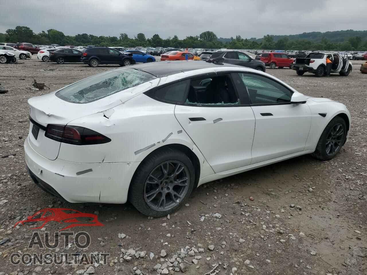 TESLA MODEL S 2022 - 5YJSA1E59NF477132