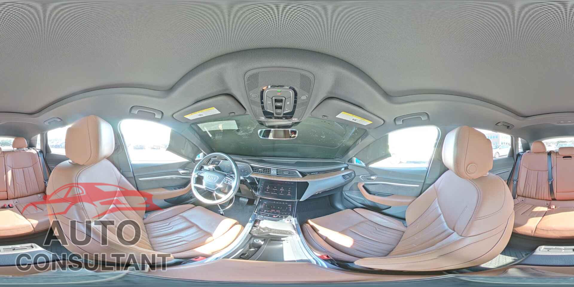AUDI E-TRON 2019 - WA1VAAGE2KB021167