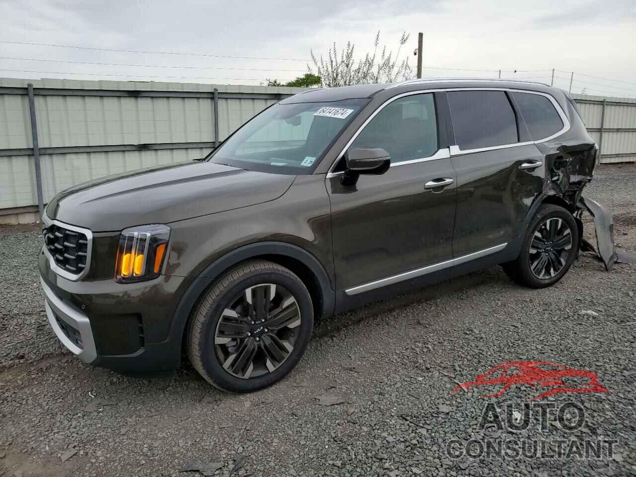 KIA TELLURIDE 2024 - 5XYP5DGC1RG472710