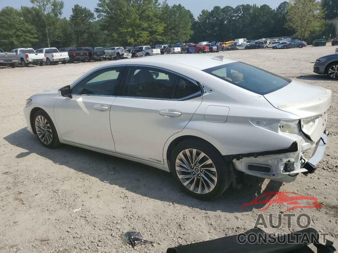 LEXUS ES300 2022 - 58AFA1C10NU019976