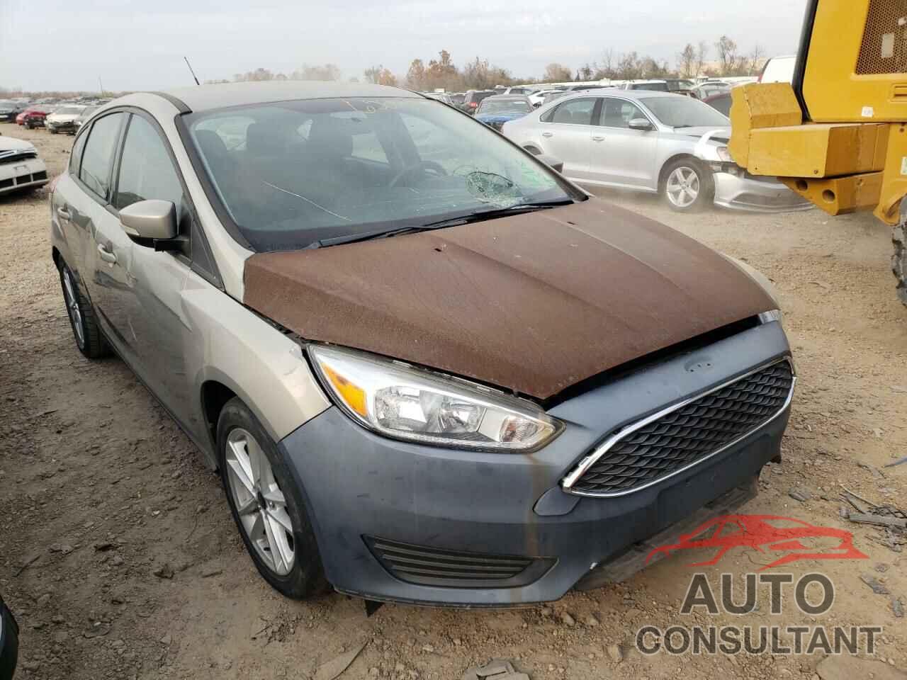 FORD FOCUS 2016 - 1FADP3K24GL294658