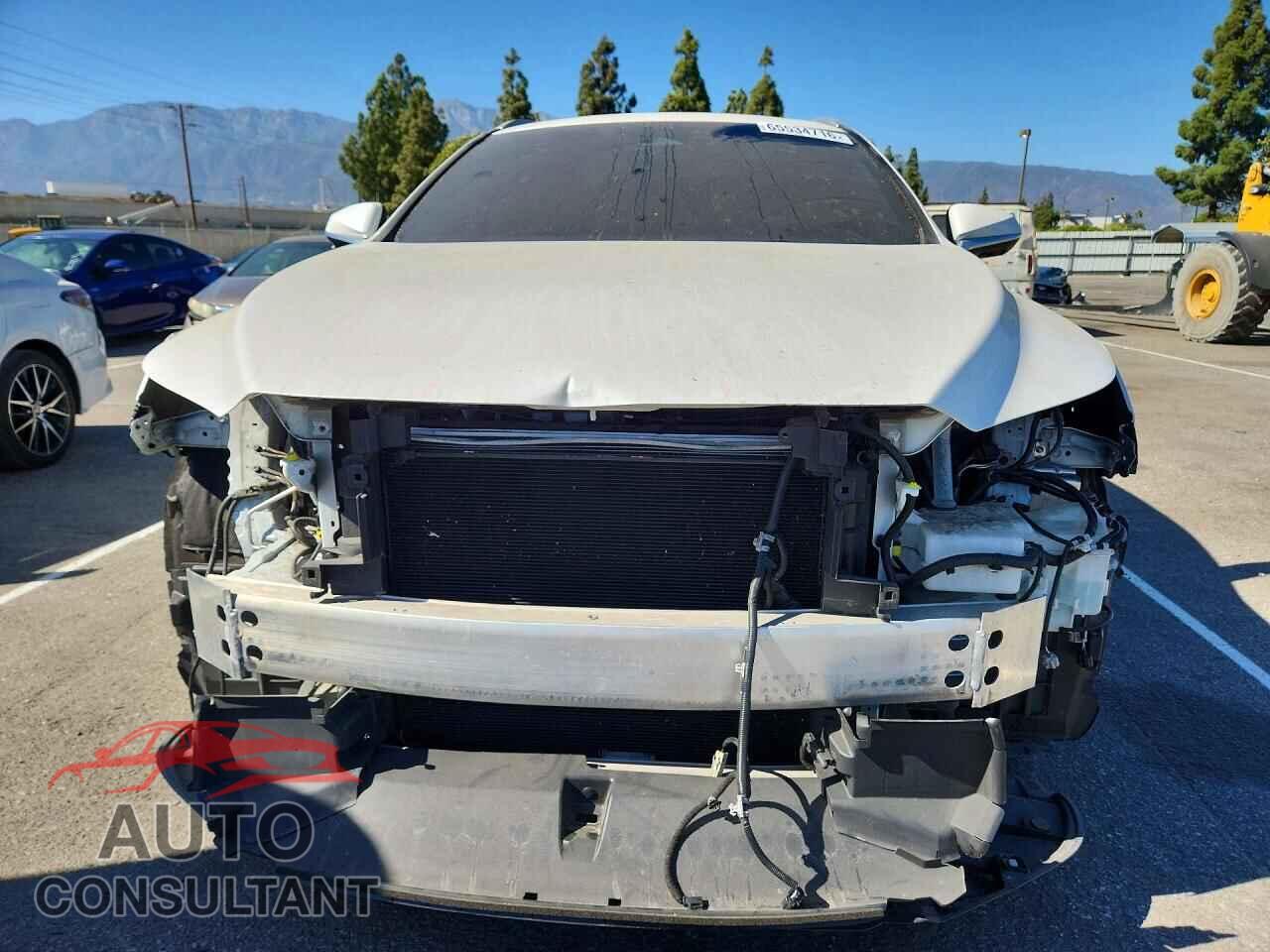 LEXUS RX350 2024 - 2T2BAMBA2RC030263