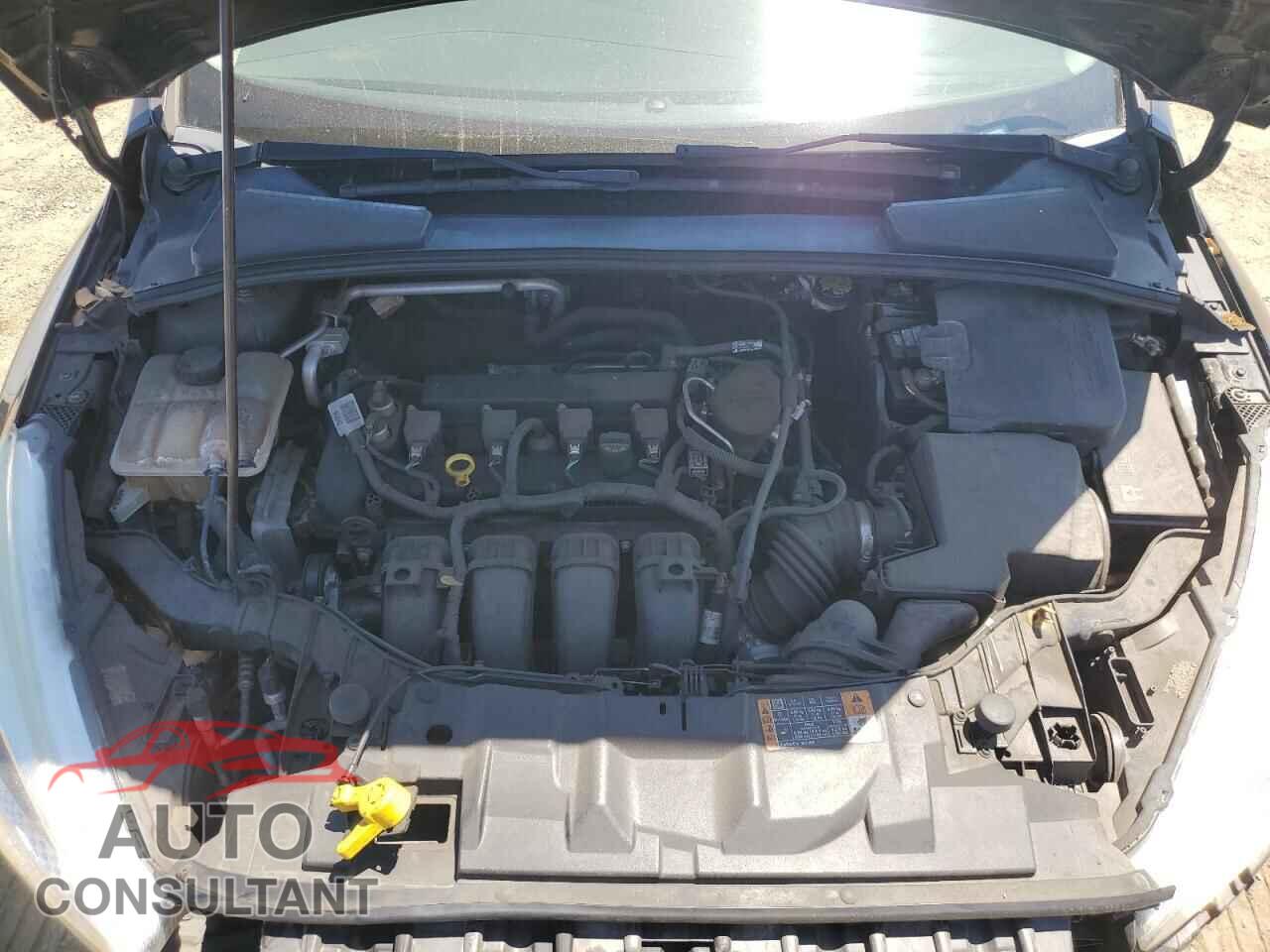 FORD FOCUS 2016 - 1FADP3E26GL230441