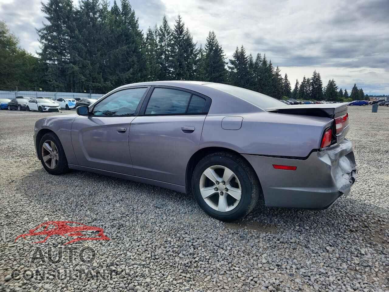 DODGE CHARGER 2014 - 2C3CDXBG2EH134682