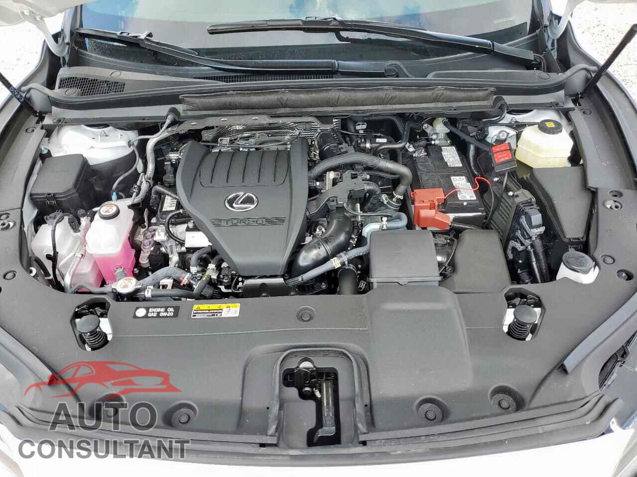 LEXUS RX350 2025 - 2T2BAMCA4SC103167