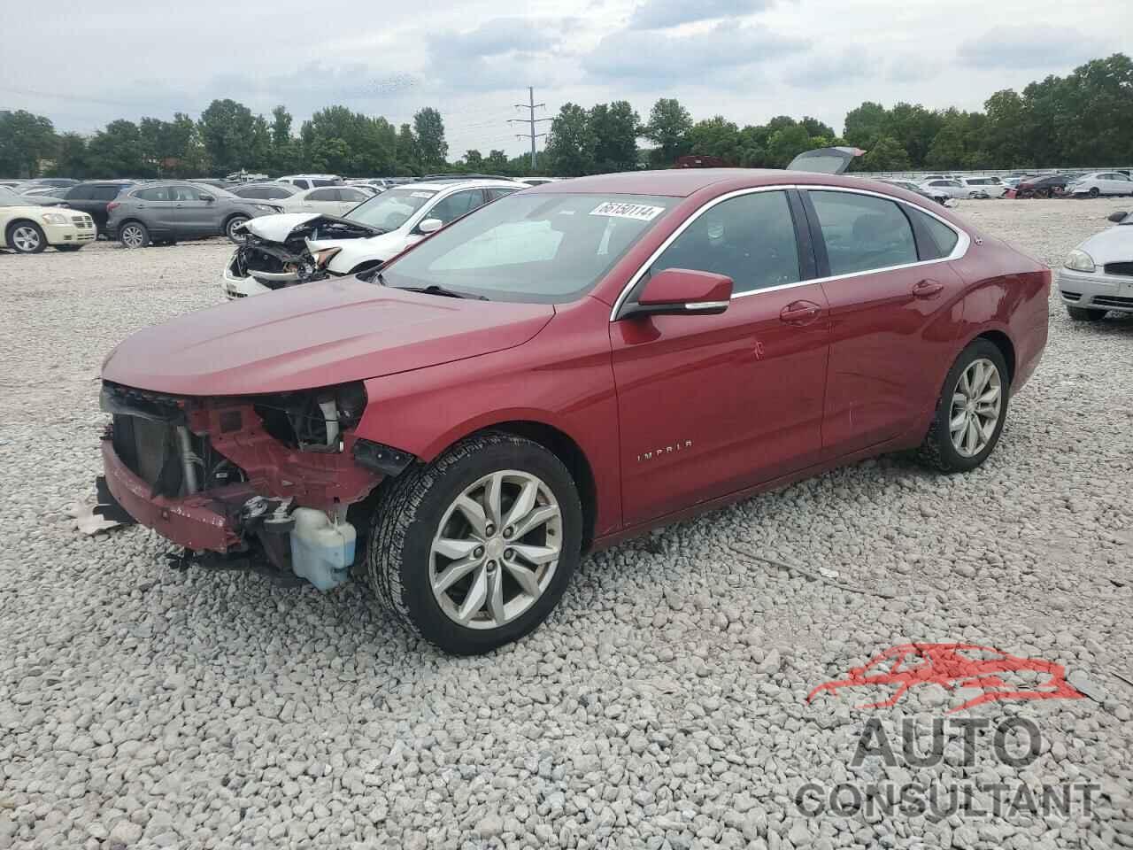 CHEVROLET IMPALA 2019 - 1G11Z5S35KU112263