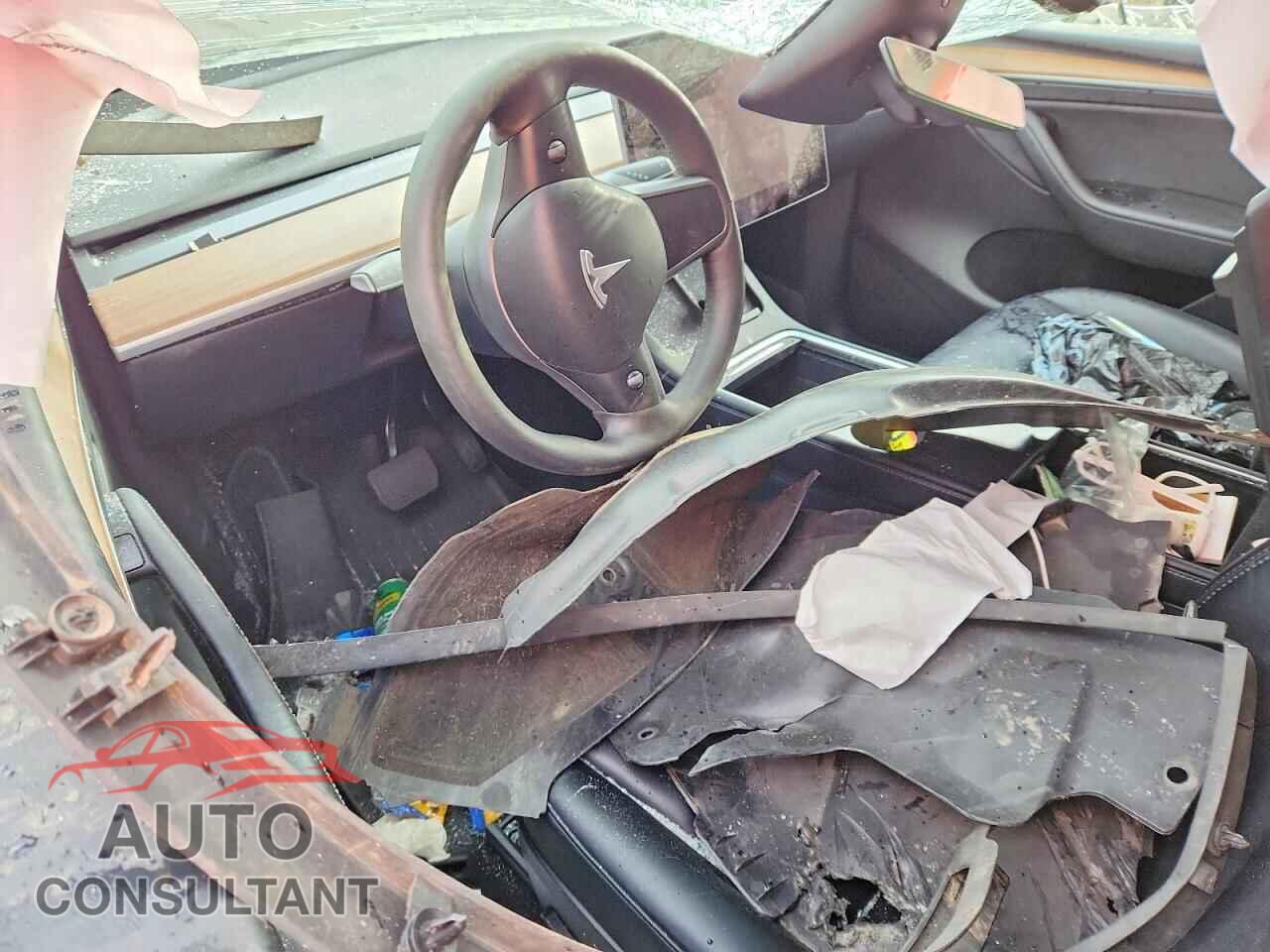 TESLA MODEL Y 2023 - 7SAYGDEE8PF895052
