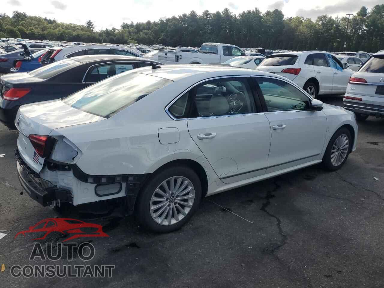 VOLKSWAGEN PASSAT 2017 - 1VWBT7A36HC032105